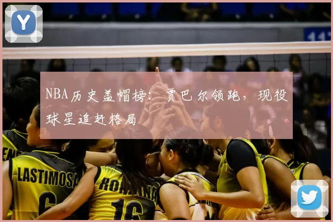 NBA历史盖帽榜:贾巴尔领跑,现役球星追赶格局