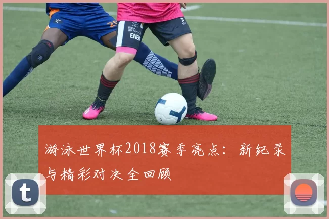 游泳世界杯2018赛季亮点:新纪录与精彩对决全回顾
