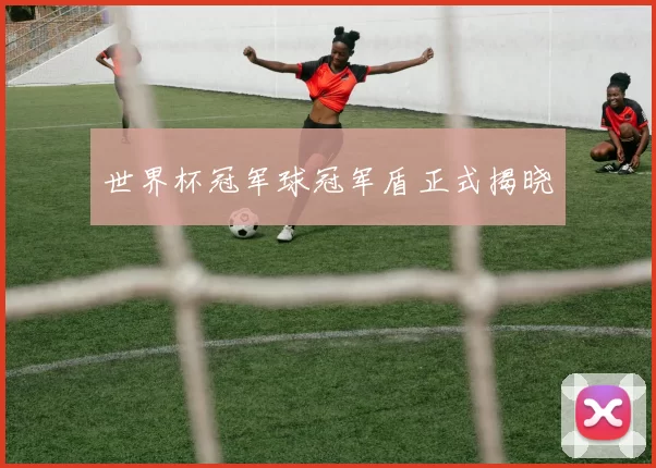 世界杯冠军球冠军盾正式揭晓