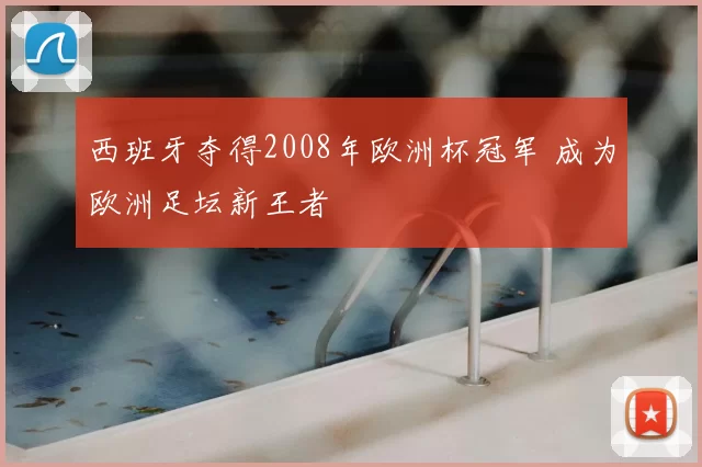 西班牙夺得2008年欧洲杯冠军 成为欧洲足坛新王者