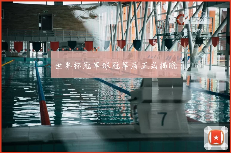 世界杯冠军球冠军盾正式揭晓