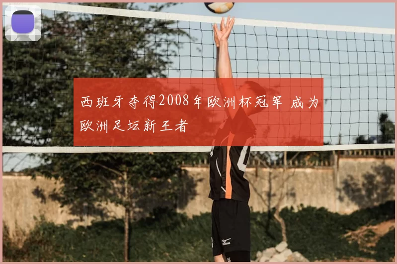 西班牙夺得2008年欧洲杯冠军 成为欧洲足坛新王者
