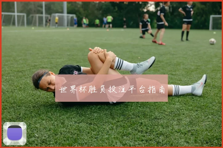 世界杯胜负投注平台指南