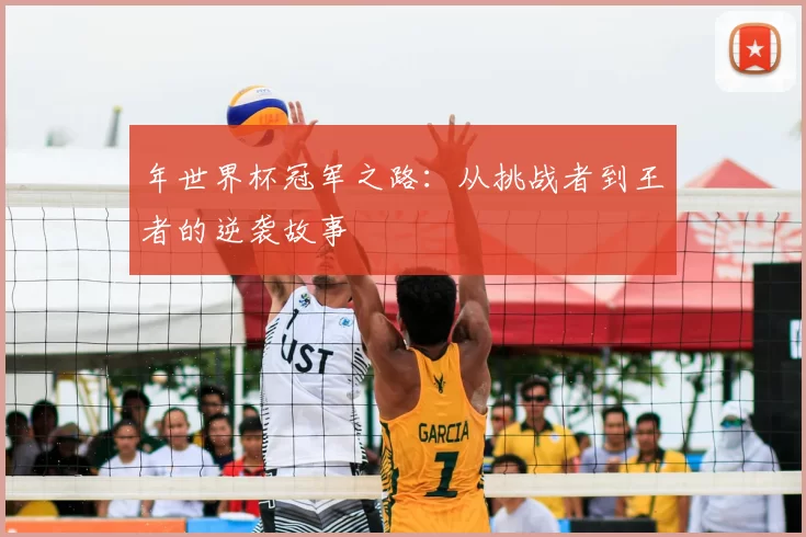 年世界杯冠军之路：从挑战者到王者的逆袭故事