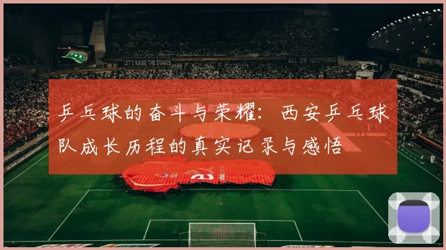乒乓球的奋斗与荣耀：西安乒乓球队成长历程的真实记录与感悟