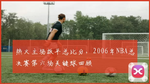 热火主场扳平总比分，2006年NBA总决赛第六场关键球回顾